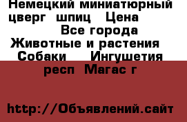 Немецкий миниатюрный(цверг) шпиц › Цена ­ 50 000 - Все города Животные и растения » Собаки   . Ингушетия респ.,Магас г.